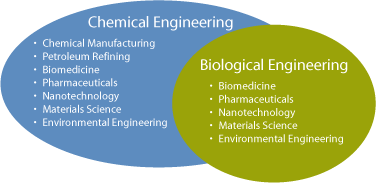 Chemical Engineering and Biological Engineering overlap